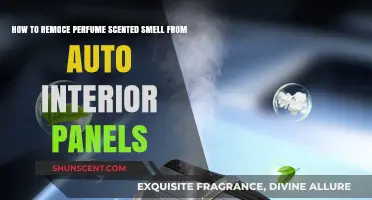 Eliminating Perfume Scents from Car Interiors