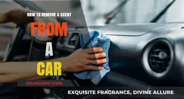 Effective Ways to Eliminate Unwanted Car Odors Permanently