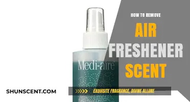 Quick Tips to Eliminate Lingering Air Freshener Scents Effectively