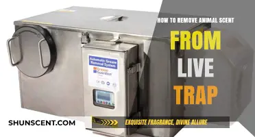 Effective Tips to Eliminate Animal Odor from Live Traps Easily