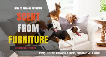 Effective Ways to Eliminate Artificial Scents from Your Furniture