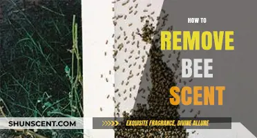 Effective Ways to Eliminate Bee Scent and Avoid Future Attacks