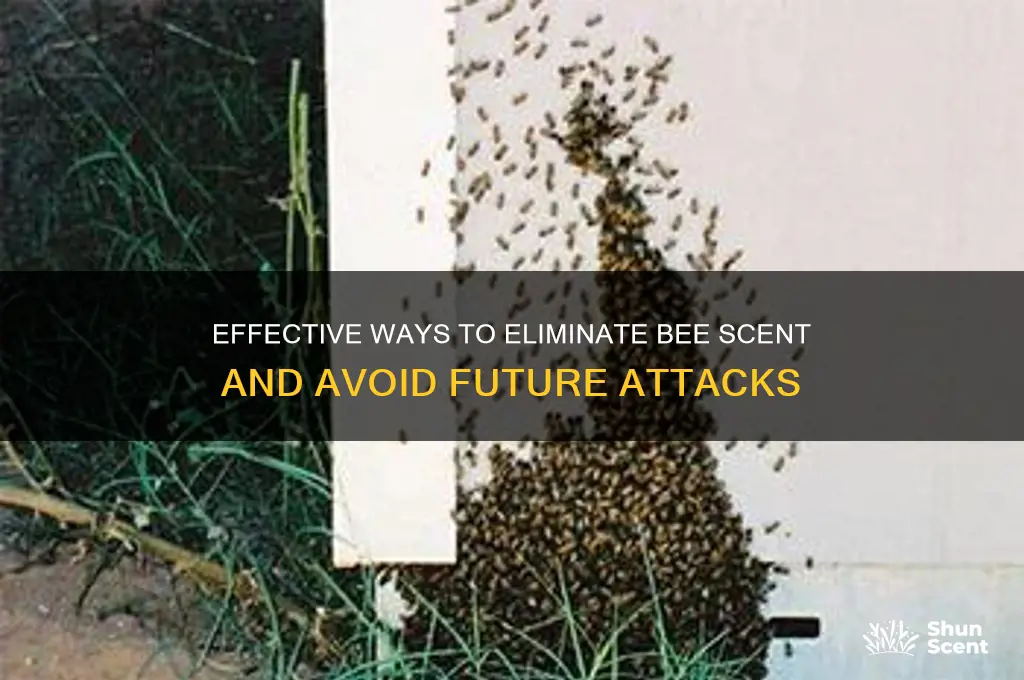 how to remove bee scent