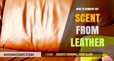 Effective Ways to Eliminate Cat Odor from Leather Surfaces
