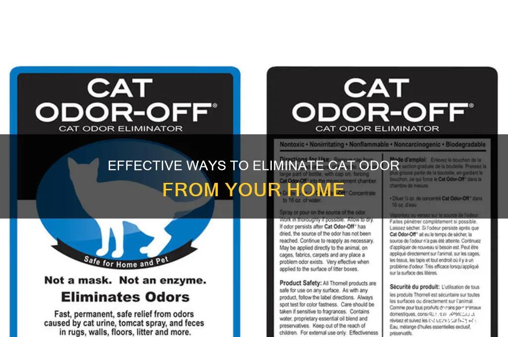 how to remove cat scent