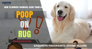 Eliminate Chemical Odor: Effective Tips to Remove Dog Poop Smell from Rugs