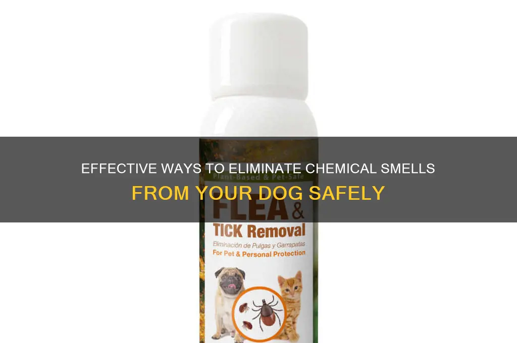 how to remove chemical scent from dogs