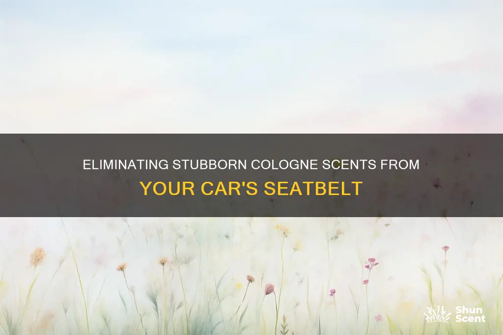 how to remove cologne smell from seatbelt