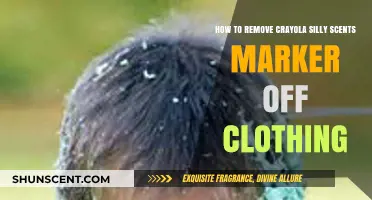Effective Tips to Remove Crayola Silly Scents Marker Stains from Clothes