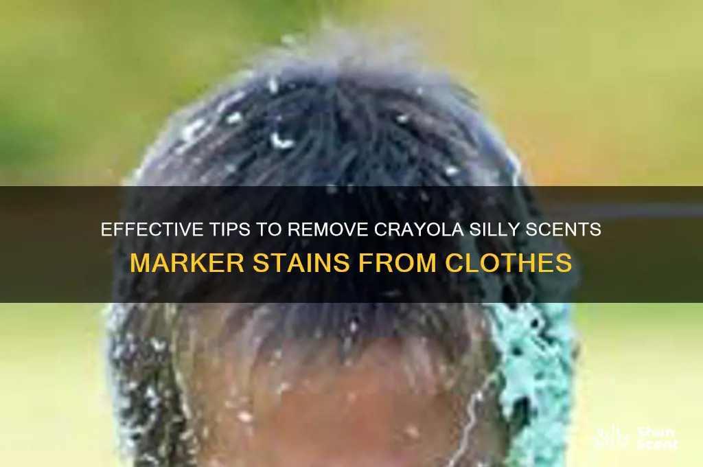 how to remove crayola silly scents marker off clothing
