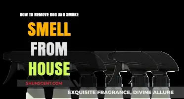Freshen Up Your Home: Effective Tips to Eliminate Dog and Smoke Odors