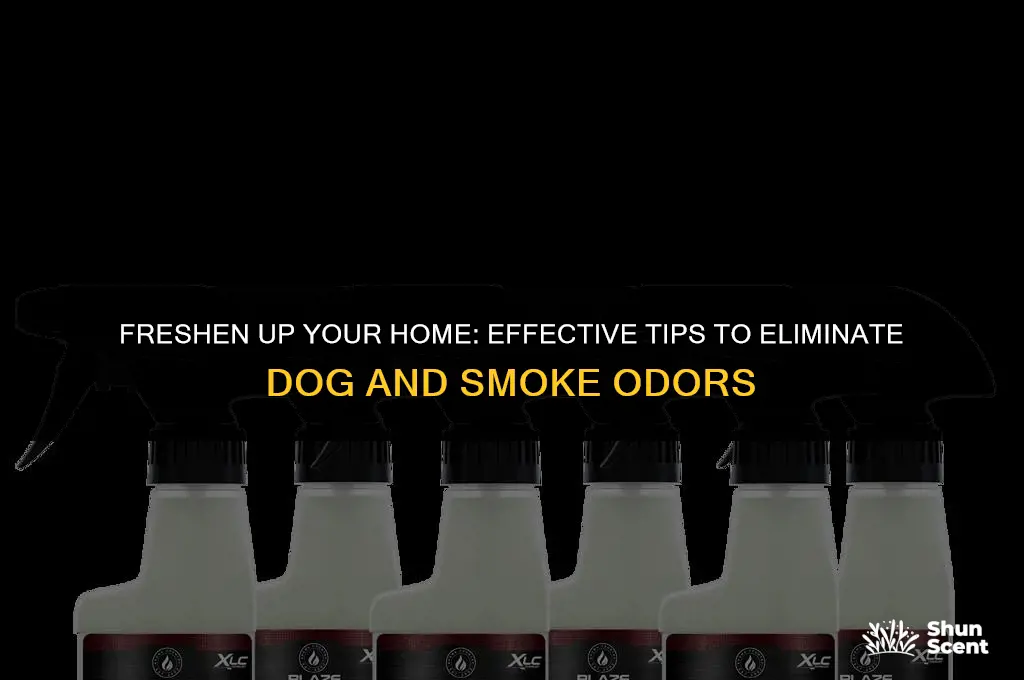 how to remove dog and smoke smell from house
