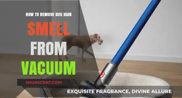 Freshen Up Your Home: Effective Ways to Eliminate Dog Hair Smell from Your Vacuum