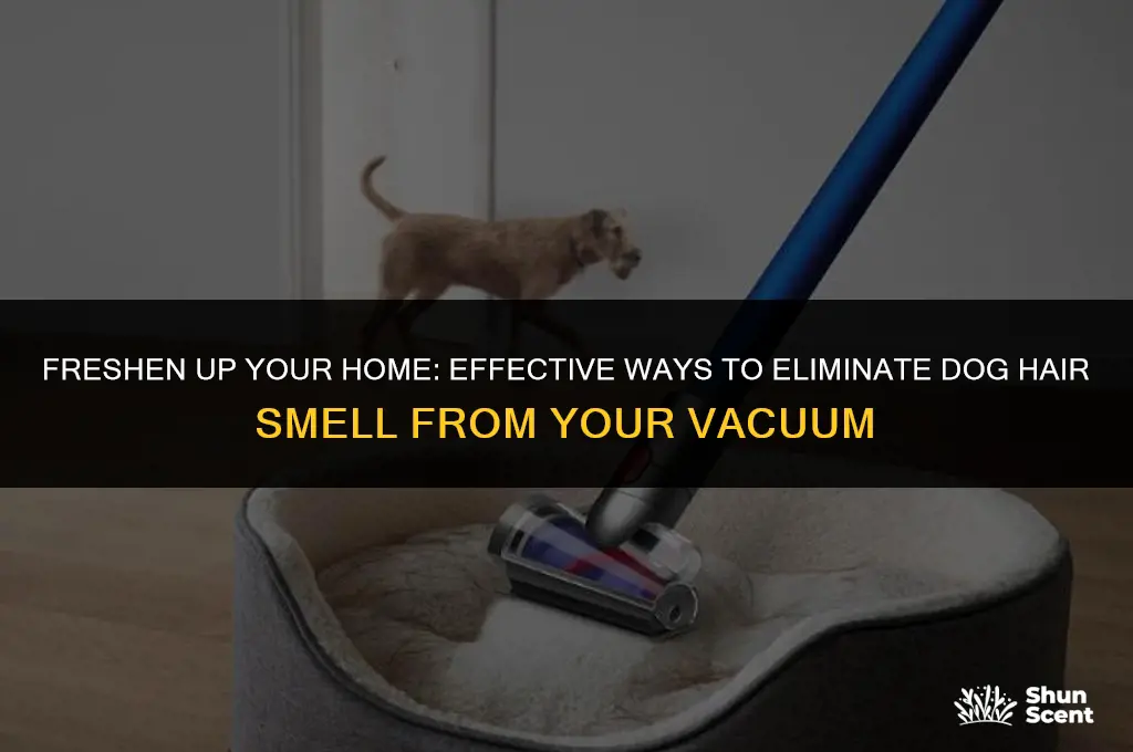 how to remove dog hair smell from vacuum