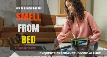 Freshen Up Your Bed: A Guide to Removing Dog Pee Smell