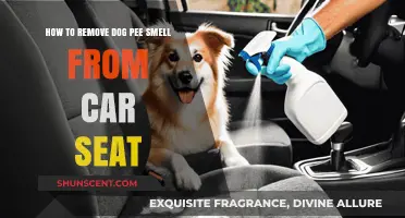 Eliminate Dog Pee Odor from Car Seats: A Comprehensive Guide