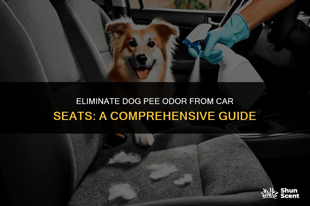 how to remove dog pee smell from car seat