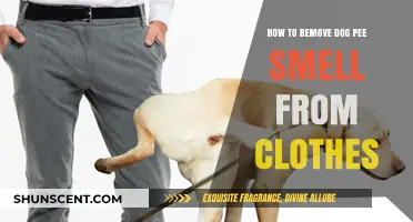 Freshen Up Your Laundry: Removing Dog Pee Smell from Clothes