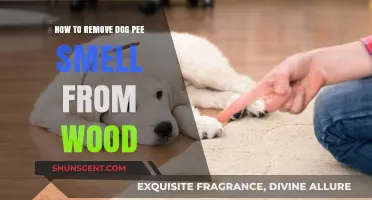 Eliminating Dog Pee Odor from Wood: A Comprehensive Guide