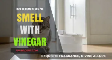 Vinegar's Power: Eliminating Dog Pee Odor Effectively