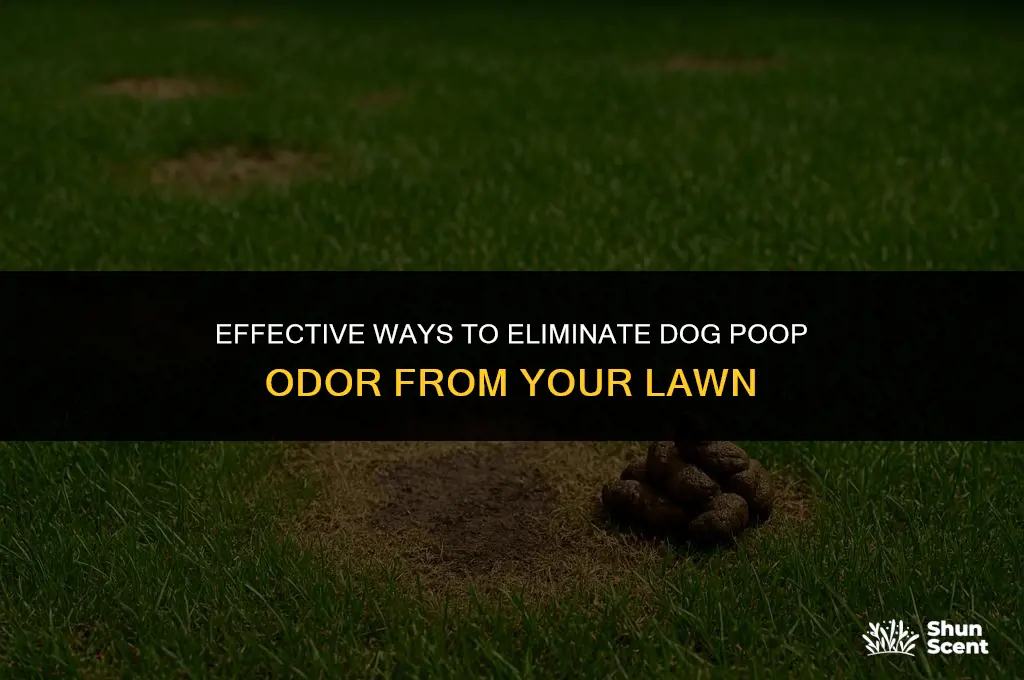 how to remove dog poop smell from grass