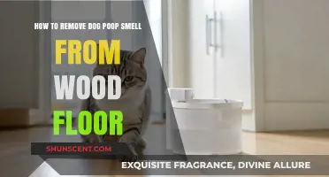 Effective Tips to Eliminate Dog Poop Odor from Wood Floors