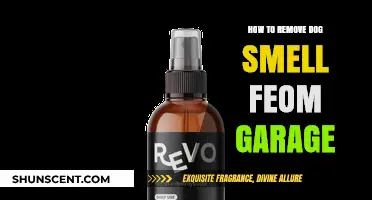 Freshen Up Your Garage: A Guide to Eliminating Dog Odors