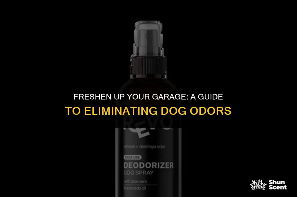 how to remove dog smell feom garage