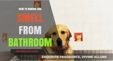 Freshen Up: Effective Tips to Eliminate Dog Odor from Your Bathroom