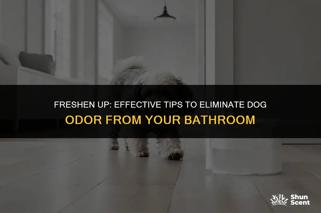 how to remove dog smell from bathroom