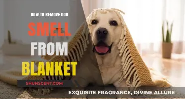 Freshen Up Your Blankets: A Guide to Removing Dog Odors