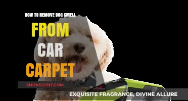 Freshen Up Your Ride: A Guide to Removing Dog Smell from Car Carpets