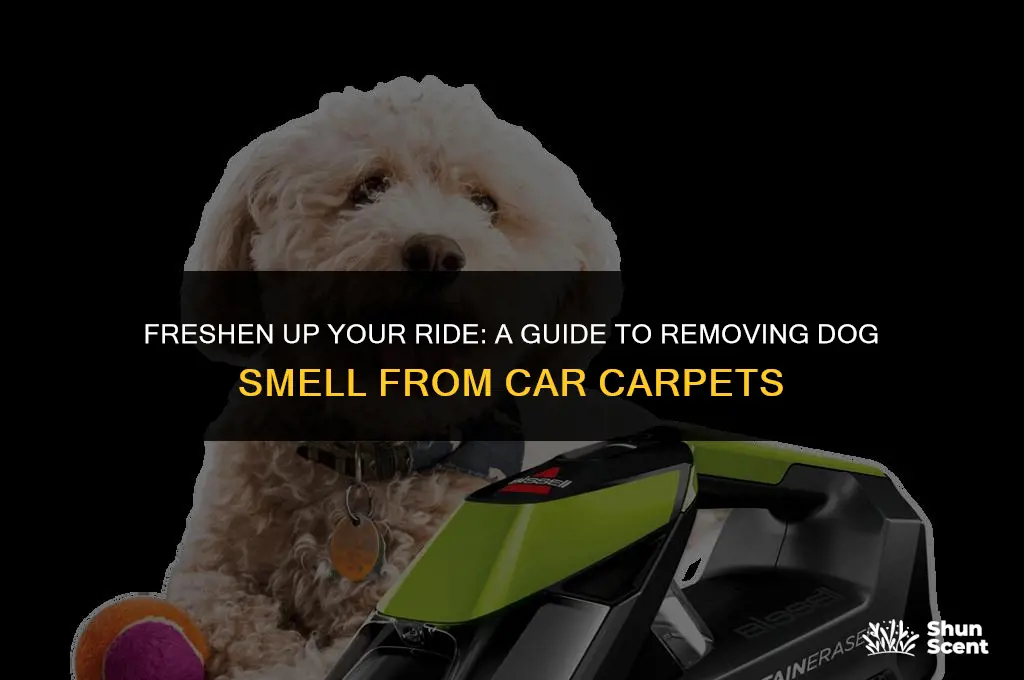 how to remove dog smell from car carpet