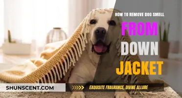 Freshen Up Your Down Jacket: Removing Dog Smell Effectively