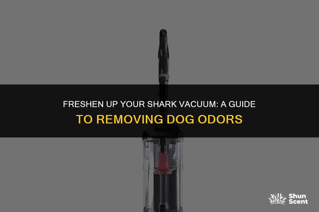 how to remove dog smell from shark vacuum