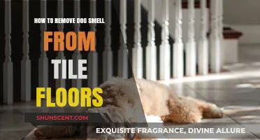 Freshen Up Your Home: A Guide to Removing Dog Smell from Tile Floors