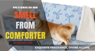 Freshen Up Your Comforter: A Guide to Removing Dog Urine Smell