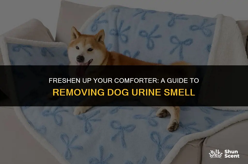how to remove dog urine smell from comforter