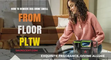 Effective Ways to Eliminate Dog Urine Odor from Your Floors
