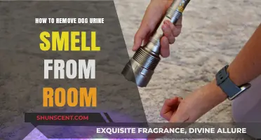 Eliminate Dog Urine Odor: A Comprehensive Guide for Freshening Your Space