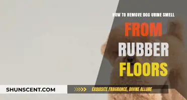 Eliminating Dog Urine Odor from Rubber Flooring: A Comprehensive Guide