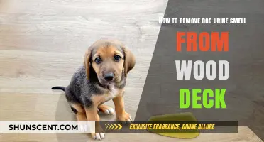 Effective Tips to Eliminate Dog Urine Odor from Your Wood Deck