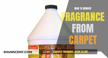 Eliminate Carpet Fragrance: Tips for a Fresh Home