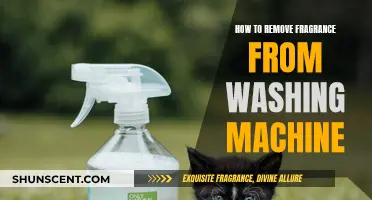 Eliminate Odors: A Guide to Removing Fragrance from Your Washer