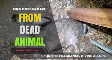 Eliminating Human Odor from Dead Wildlife: Effective Techniques for Success