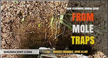 Effective Tips to Eliminate Human Scent from Mole Traps for Success