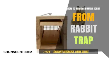 Effective Tips to Eliminate Human Scent from Rabbit Traps for Success