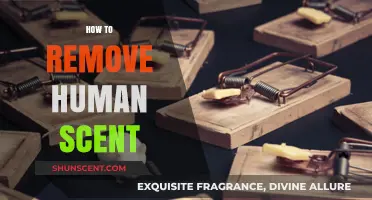Eliminate Human Odor: Proven Techniques to Remove Your Scent Effectively