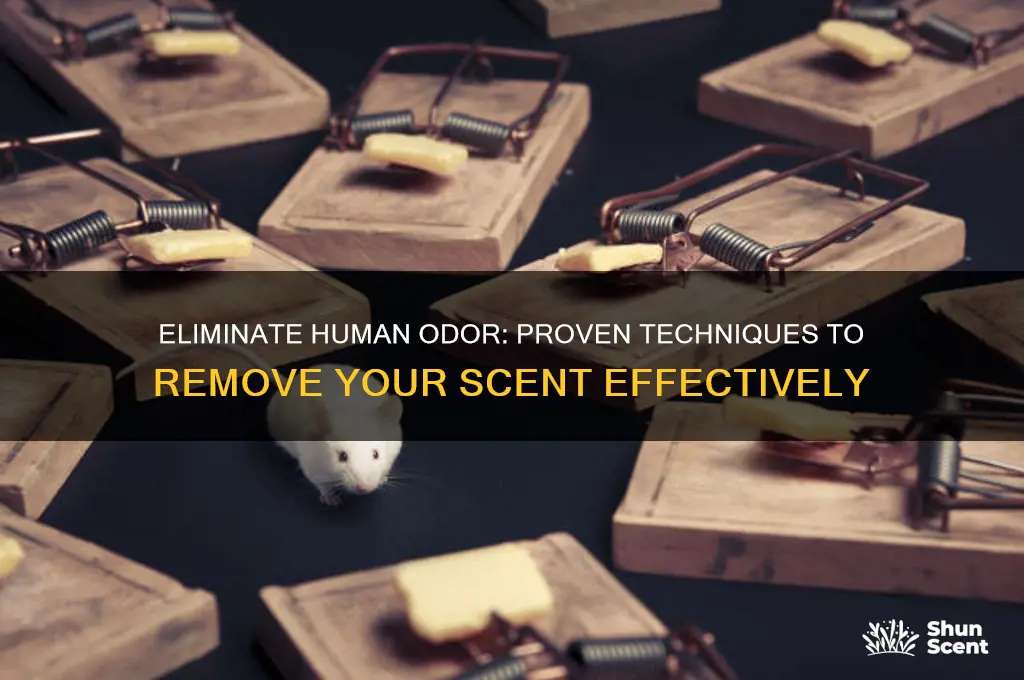 how to remove human scent