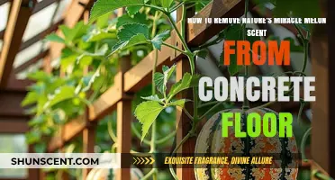 Effective Ways to Eliminate Nature's Miracle Melon Scent from Concrete Floors